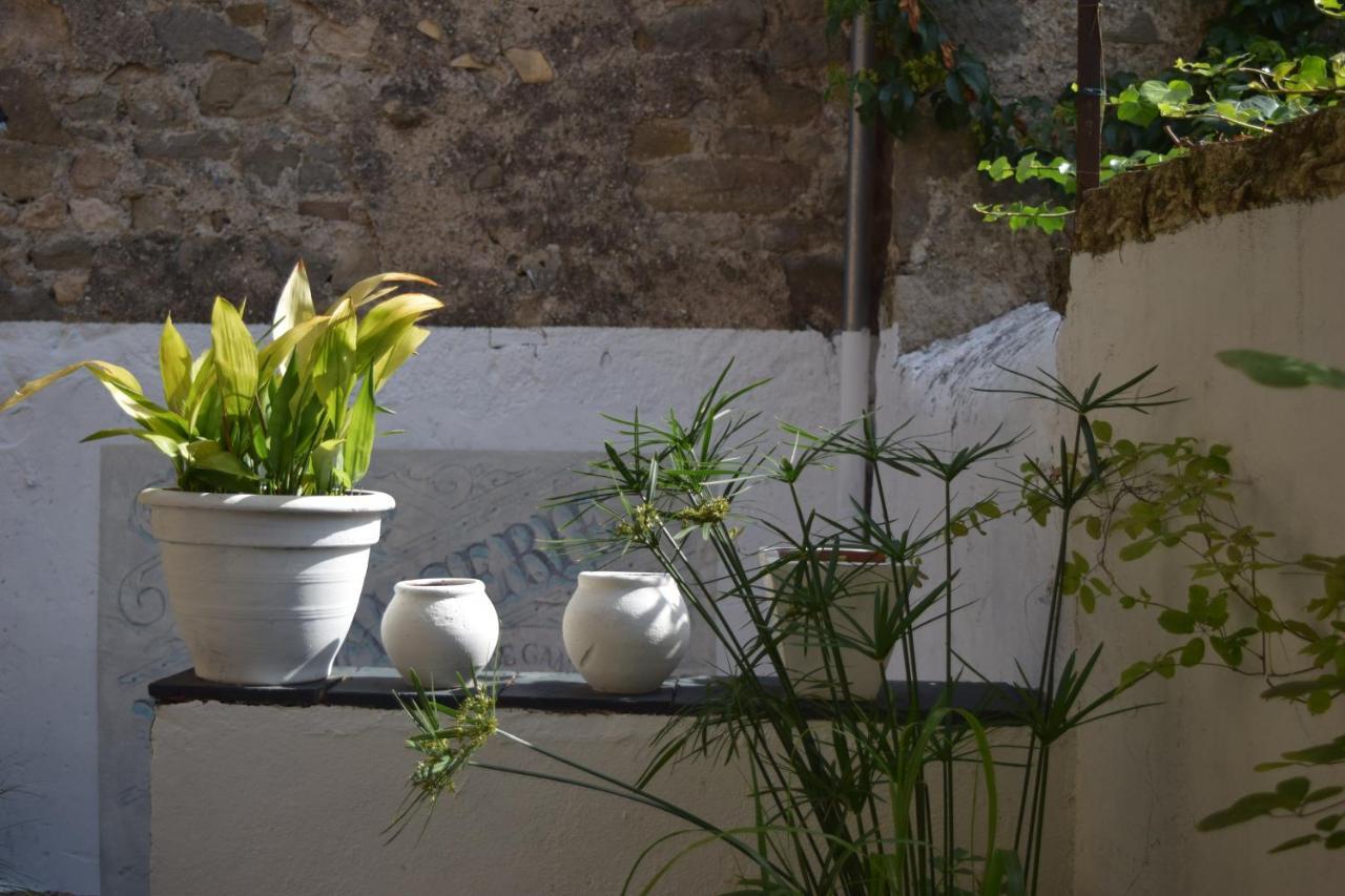 L'Ancienne Boulangerie Bed and Breakfast Caunes-Minervois Esterno foto